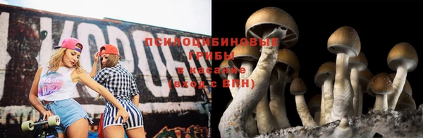 сатива Алексин