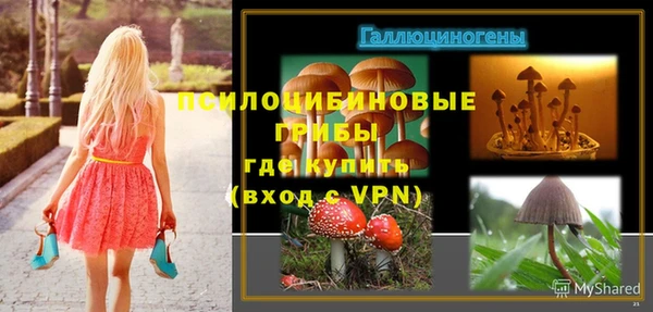 сатива Алексин